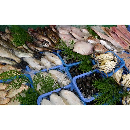 ふるさと納税 旬の鮮魚等 香川県 宇多津町 ［頒布会3回］瀬戸内海産の海産物の詰め合わせ（下処理ナシ） FAH-0124_5