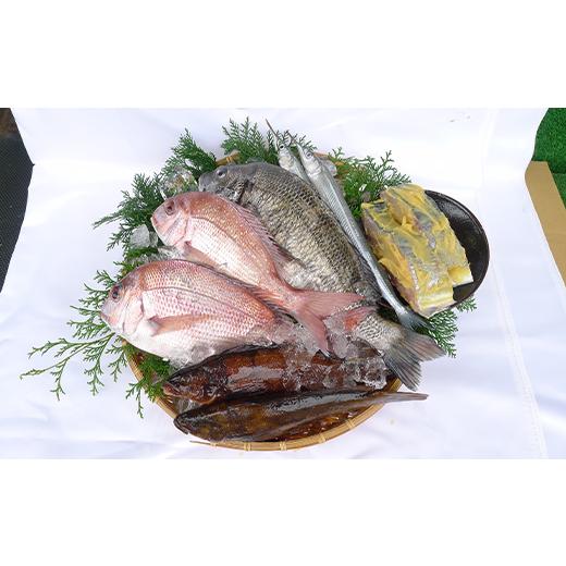 ふるさと納税 旬の鮮魚等 香川県 宇多津町 ［頒布会3回］瀬戸内海産の海産物の詰め合わせ（下処理ナシ） FAH-0124_6