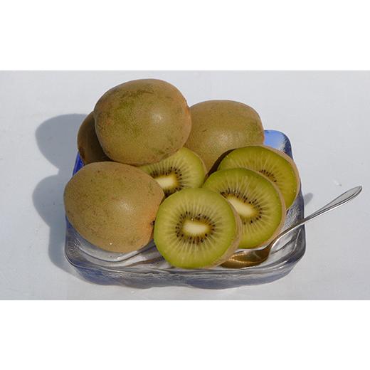 ふるさと納税 果物類 香川県 宇多津町 さぬきエンジェルスイート約2.5kg