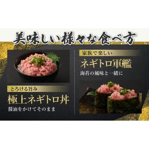 ふるさと納税 マグロ 高知県 室戸市 ネギトロ 400g (200g×2パック) 個包装パック 簡単解凍 配送日時指定可 天然マグロ使用 ランキング ねぎとろ丼 高品質 ま… |  | 04
