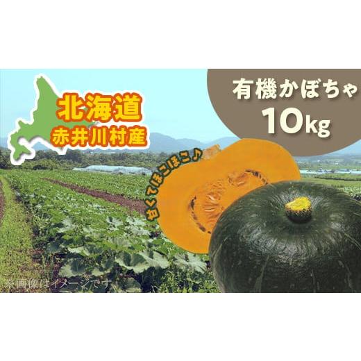 ふるさと納税 野菜類 北海道 赤井川村 甘くてほこほこ 関野農場の有機かぼちゃ(北海道赤井川村産)