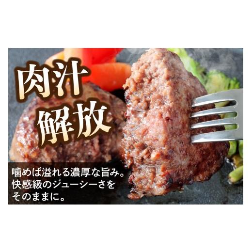 ふるさと納税 肉 ハンバーグ 神奈川県 伊勢原市 5営業日以内発送 柏木