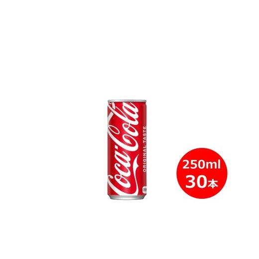 ふるさと納税 炭酸飲料 岩手県 花巻市 コカ・コーラ　250ml缶　３０本セット 451_1