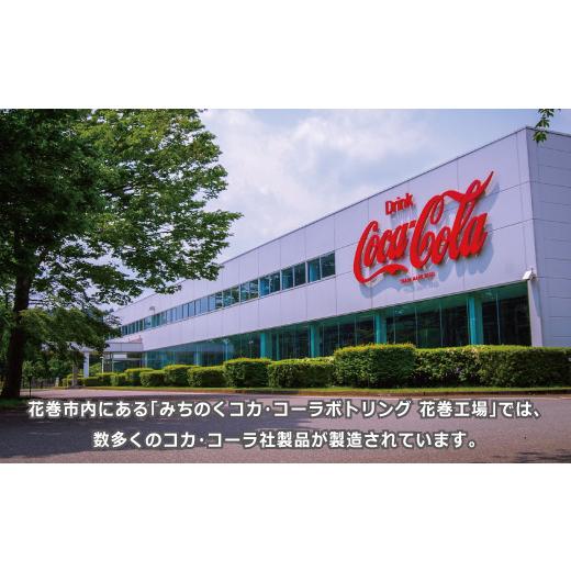 ふるさと納税 炭酸飲料 岩手県 花巻市 コカ・コーラ　250ml缶　３０本セット 451_2