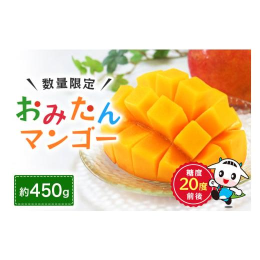 ふるさと納税 マンゴー 茨城県 小美玉市 数量限定・季節限定 おみたんマンゴー 約450g 数量限定 期間限定 先行予約 完熟 マンゴー 国産フルーツ 果物 くだも…