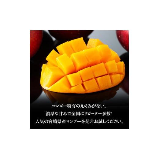 ふるさと納税 マンゴー 宮崎県 川南町 令和8年発送 宮崎マンゴー 太陽