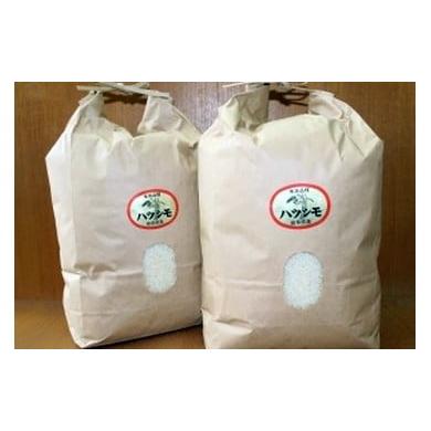 ふるさと納税 米 岐阜県 笠松町 3604 岐阜県産 ハツシモ(5kg×2)