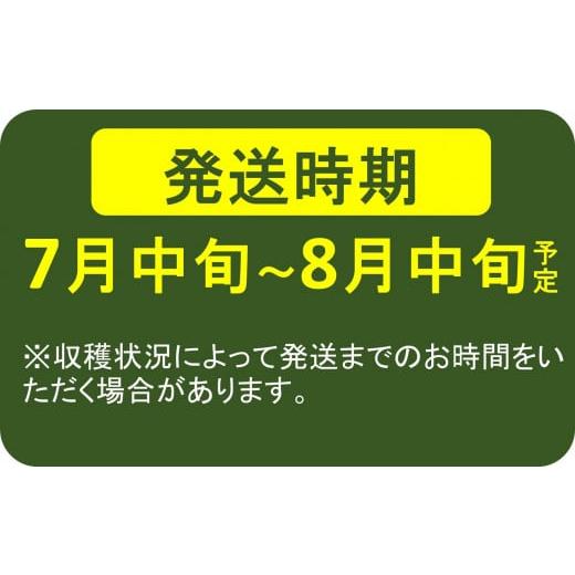 ふるさと納税 新潟県 柏崎市 【先行予約】大粒・風味豊かな枝豆！柏崎の早生茶豆「越後はちこく茶豆」 1kg（250g×4袋）【期間・数量限定】[ZA025]｜furusatochoice｜03