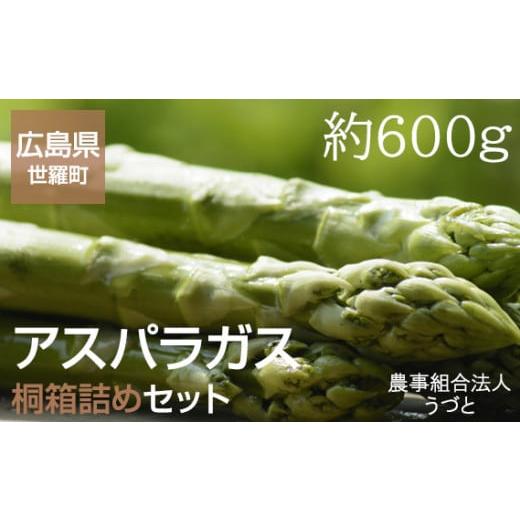 ふるさと納税 広島県 世羅町 No.025 アスパラガス桐箱詰めセット 約600g / 野菜 グリーンアスパラ JGAP認証農場 広島県