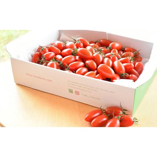 ふるさと納税 トマト ミニトマト 岐阜県 池田町 HOSONOFARMプレミアムミニトマト「スピカ」1kg  