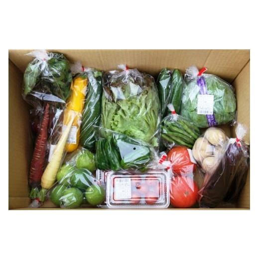 ふるさと納税 セット・詰合せ 大分県 国東市 国東の旬野菜＆フルーツの詰合せ_1029Rの画像