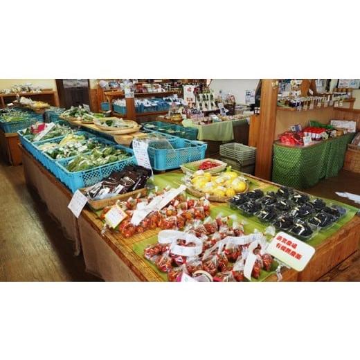 ふるさと納税 セット・詰合せ 大分県 国東市 国東の旬野菜＆フルーツの詰合せ_1029Rの画像