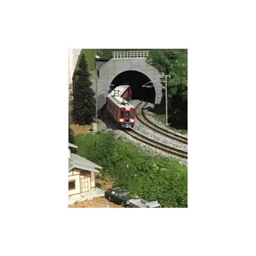 【アウトレット品】 ふるさと納税 和歌山県 九度山町 南海Nゲージ南海2000系南海・赤備え列車4両セット 【AA7706018289】(27140円)