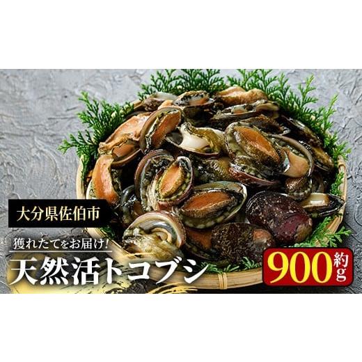 ふるさと納税 アワビ・ホタテ・他 大分県 佐伯市 天然 トコブシ (約900g) 鮮魚 魚介 貝 トコブシ とこぶし 酒蒸し 網焼き バター焼き バーベキュー 獲れたて …