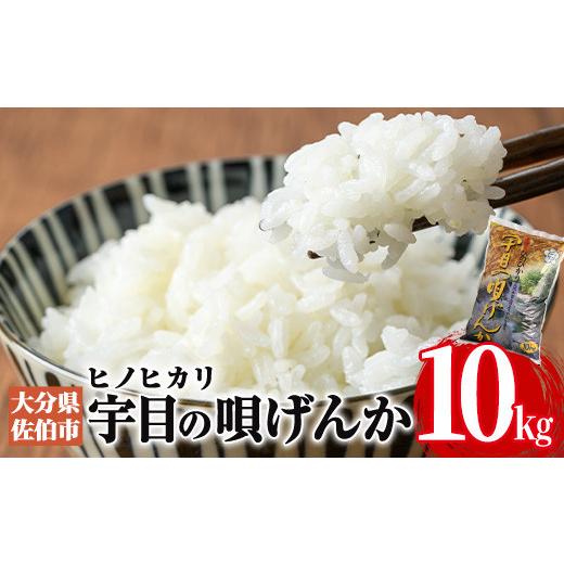 ふるさと納税 大分県 佐伯市 [令和5年産]佐伯市 宇目産 ヒノヒカリ (10kg・1袋) [AY62][ (公財)さいき農林公社]