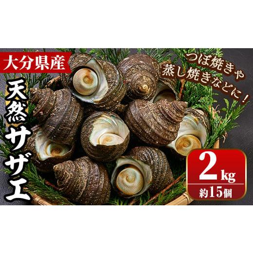 ふるさと納税 大分県 佐伯市 天然 サザエ (計約2kg・15個)[BT61][大分県漁業協同組合]