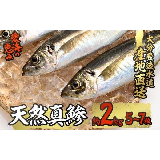 ふるさと納税 大分県 佐伯市 天然 真鯵 (約2kg・計5-7本) [CS04][(有)丸昌水産]