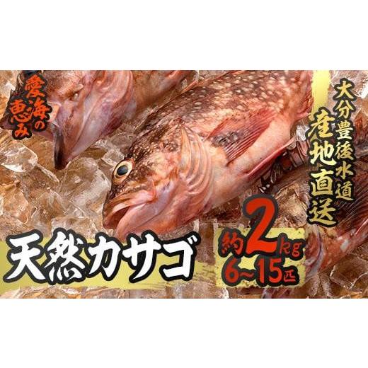 ふるさと納税 大分県 佐伯市 天然 カサゴ (約2kg・計6-15匹) [CS15][(有)丸昌水産]