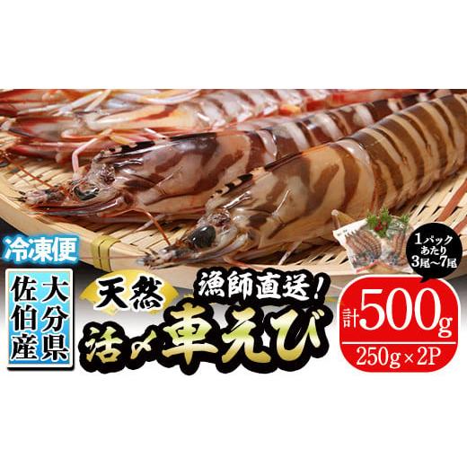 ふるさと納税 大分県 佐伯市 漁師直送! 天然活〆車えび (計500g・250g×2P) 大分県産 [EJ01][萬漁丸]