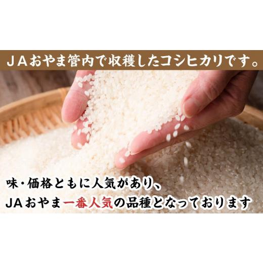 ふるさと納税 栃木県 小山市 小山産コシヒカリ「うまかん米」【精米１０ｋｇ】 