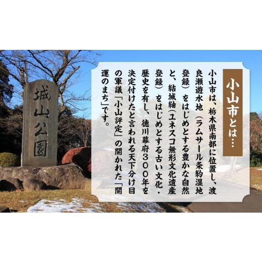 ふるさと納税 栃木県 小山市 小山産コシヒカリ「うまかん米」【精米１０ｋｇ】 