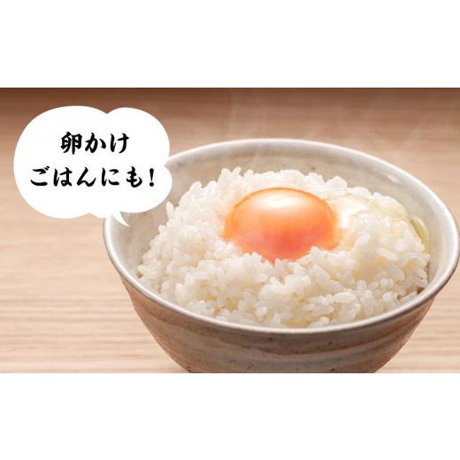 ふるさと納税 栃木県 小山市 小山産コシヒカリ「うまかん米」【精米１０ｋｇ】 