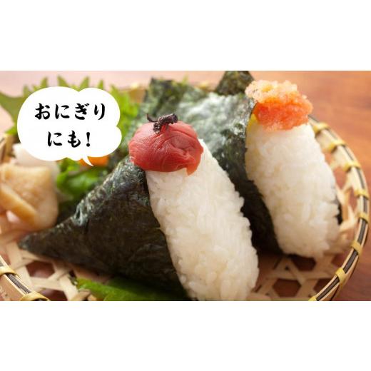 ふるさと納税 栃木県 小山市 小山産コシヒカリ「うまかん米」【精米１０ｋｇ】 