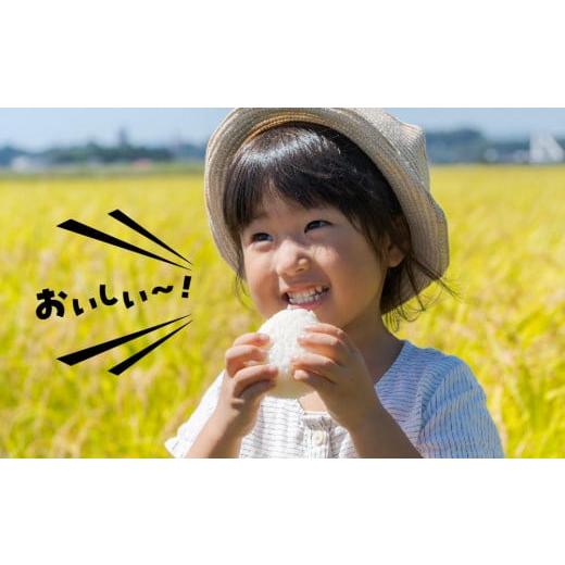 ふるさと納税 栃木県 小山市 小山産コシヒカリ「うまかん米」【精米１０ｋｇ】 