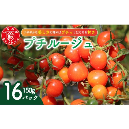 ふるさと納税 トマト ミニトマト 静岡県 藤枝市 ミニ トマト プチルージュ 150g × 16パック 野菜 やさい 新鮮 旬の野菜 産地直送 高糖度 甘い プチ フルーツ …