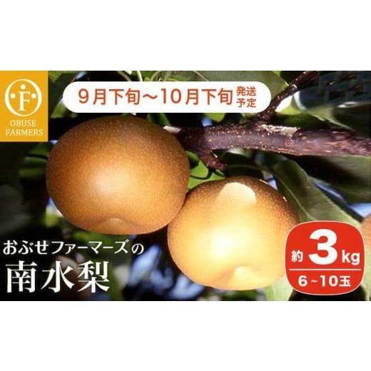 ふるさと納税 梨 長野県 小布施町 南水 秀品 約3kg 6〜10玉 おぶせファーマーズ 梨 なし フルーツ 果物 クール便 冷蔵便 長野 信州 先行予約 数量限定 令和8年…