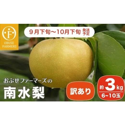 ふるさと納税 梨 長野県 小布施町 訳あり 南水 約3kg 6〜10玉 おぶせファーマーズ 梨 なし フルーツ 果物 ワケアリ 傷 キズ 不揃い 規格外 家庭用 クール便 …