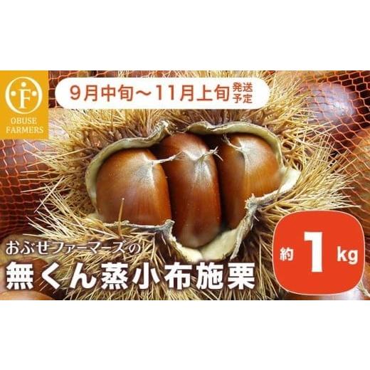 ふるさと納税 果物類 栗 長野県 小布施町 無くん蒸小布施栗 約1kg [おぶせファーマーズ] 果物 フルーツ 生栗 くり 長野県産 信州産 令和7年産 2025年9月中…