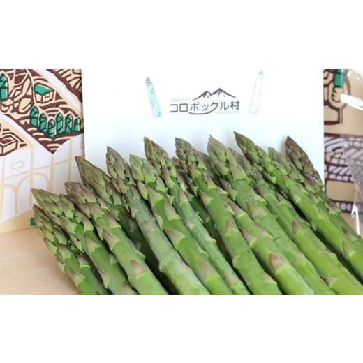 ふるさと納税 野菜類 アスパラガス 北海道 赤井川村 1.夏採りアスパラ:7月下旬〜8月下旬 1.夏採りアスパラ:7月下旬〜8月下旬