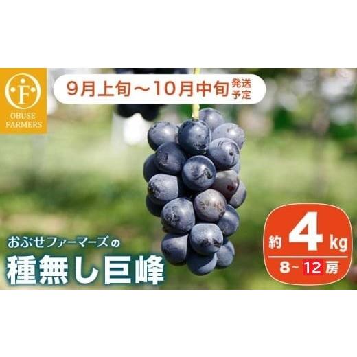 ふるさと納税 ぶどう 巨峰 長野県 小布施町 種無し巨峰 約4kg 8~12房 おぶせファーマーズ 果物 フルーツ ぶどう 葡萄 冷蔵便 クール便 長野県産 信州産 令和8…