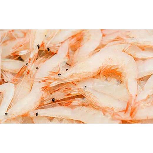 ふるさと納税 富山県 富山市 岩瀬浜特産　富山湾の宝石　白えびを贅沢に使ったコロッケと殻付き白えび 