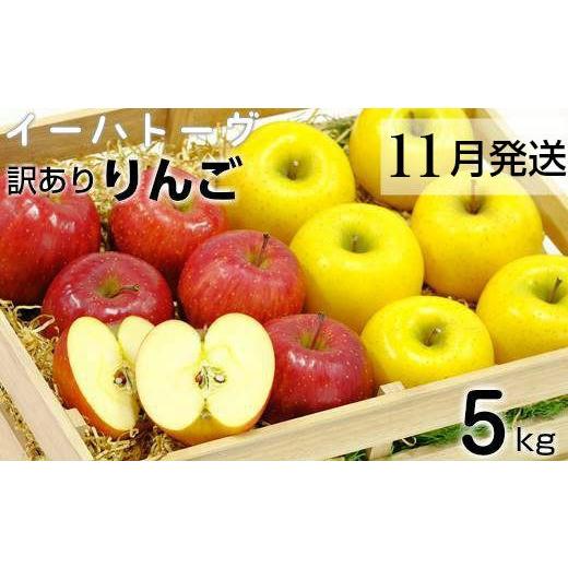 ふるさと納税 りんご 岩手県 花巻市 イーハトーヴ 訳アリ りんご 約5kgセット[11月より発送予定/予約受付] 280-11 11月より発送開始