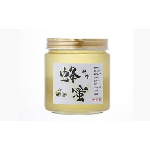 ふるさと納税 加工品等 はちみつ 岩手県 陸前高田市 気仙養蜂の国産純粋蜂蜜〈アカシア〉600g はちみつ ギフト 料理 飲料 岩手県 陸前高田市の画像