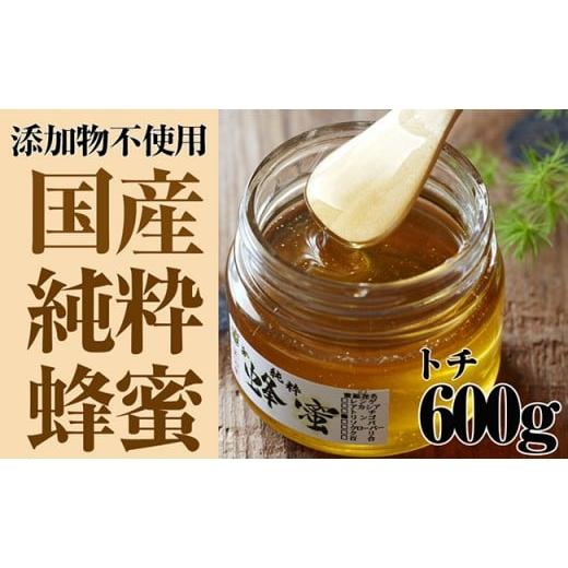 ふるさと納税 加工品等 はちみつ 岩手県 陸前高田市 気仙養蜂の国産純粋蜂蜜〈トチ〉600g はちみつ ギフト 料理 飲料 岩手県 陸前高田市の画像