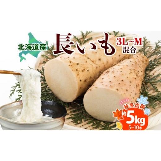 ふるさと納税 野菜類 北海道 洞爺湖町 北海道産 長いも 秋冬出荷 約5kg 2025年11月中旬〜2026年3月下旬お届け 長芋 ながいも とろろ 農作物 野菜 新鮮 根菜 新…