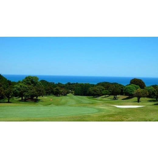 ふるさと納税 宮崎県 日向市 美々津カントリークラブ【平日限定】セルフゴルフプレー券（お一人様分)＋食事・飲み物付き[30-03] Z1511329828(15000円)