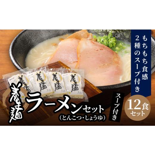 ふるさと納税 ラーメン とんこつ 宮崎県 木城町 養生麺ラーメン詰合せ 12袋入り - こんにゃく麺 しょう油味 とんこつ味 粉末スープ ご当地グルメ 宮崎県木城町…