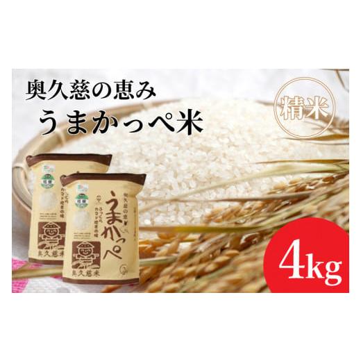 ふるさと納税 米 コシヒカリ 茨城県 大子町 令和7年産 新米 奥久慈の恵みうまかっぺ米(コシヒカリ)2kg×2袋 計4kg|茨城県 大子町 お米 白米 精米 ブランド…
