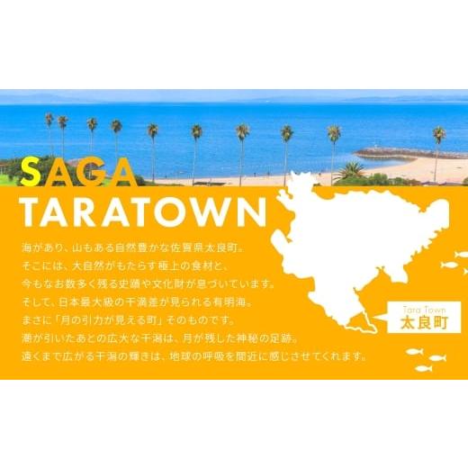 ふるさと納税 日本酒 純米大吟醸酒 佐賀県 太良町 PB-5 褒紋 東長