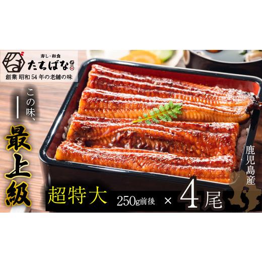 ふるさと納税 うなぎ 福岡県 福智町 Y02-21 国産うなぎ使用 老舗たちばな 国産うなぎ蒲焼 (250g前後)4尾 南九州産 うなぎ 鰻 ウナギ 国産鰻 人気 おすすめ …