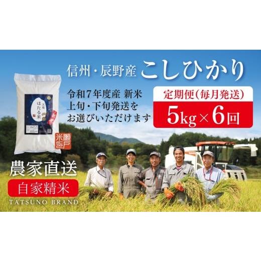 ふるさと納税 米 コシヒカリ 長野県 辰野町 定期便 R7新米 毎月下旬 5kg×6回[天竜ほたる米 瀬戸ライスファーム 辰野町 081] 定期便5kg×6回 毎月下旬発送