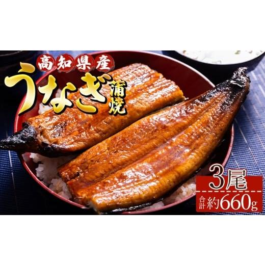 ふるさと納税 うなぎ 高知県 香南市 うなぎ 蒲焼き 国産鰻 3尾(合計約660g) 人気 養殖 高知県産 蒲焼 国産 うな丼 うな重 鰻 国産うなぎ 冷凍 ウナギ かばやき…_1