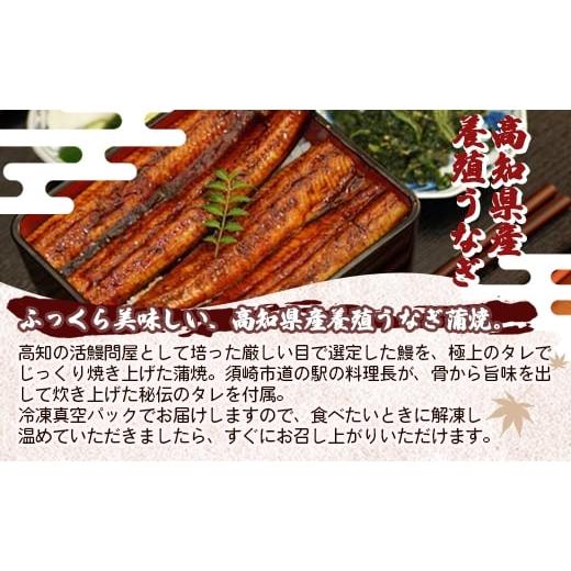 ふるさと納税 うなぎ 高知県 香南市 うなぎ 蒲焼き 国産鰻 3尾(合計約660g) 人気 養殖 高知県産 蒲焼 国産 うな丼 うな重 鰻 国産うなぎ 冷凍 ウナギ かばやき…_2