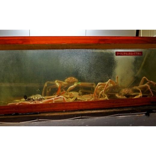 ふるさと納税 エビ・カニ等 カニ 京都府 京丹後市  数量限定100 蟹ご飯　海鮮 魚介 魚介類 水産加工品 惣菜 かに カニごはん かに飯 カニ料理 京都 京丹後 料…_5