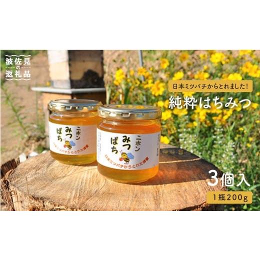 ふるさと納税 加工品等 はちみつ 長崎県 波佐見町 日本蜜蜂の純粋