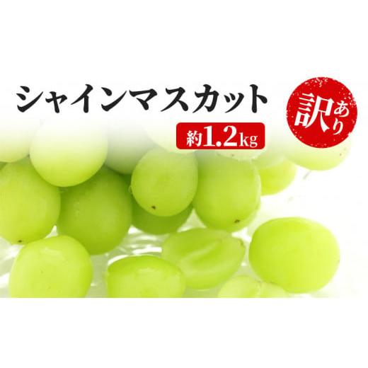 ふるさと納税 長野県 坂城町 訳あり シャインマスカット 約1.2kg 粒 YANAGISAWA ぶどう 長野 マスカット ブドウ フルーツ 果物 シャイン[ 果物…